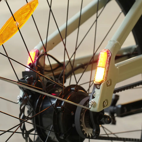 Fiido C700 | Bicicletta elettrica Urbana | Motore 250W | DMEGC 313,2 Wh | Sensore di coppia | Freni idraulici | Autonomia 83,14Km| GARANZIA ITALIANA