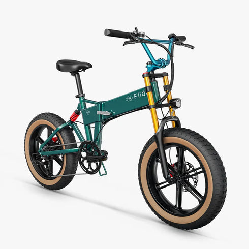 Fiido M1 Pro 2025 | Bicicletta elettrica | Versatile | Motore 250W 50Nm | DMEGC 556.8Wh | Sensore di coppia | Freni idraulici | Autonomia 88,79 Km| GARANZIA ITALIANA