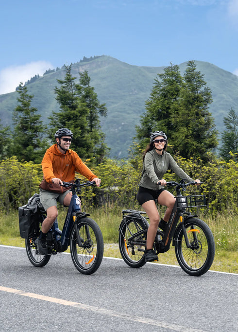 ENGWE E26 3.0 Pro | Bicicletta Elettrica | Motore Centrale 250W | Sensore di coppia | GARANZIA ITALIANA