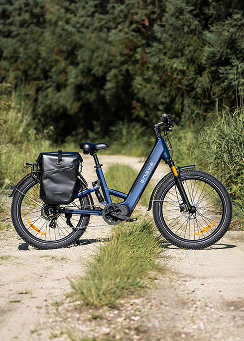 ENGWE E26 3.0 Pro | Bicicletta Elettrica | Motore Centrale 250W | Sensore di coppia | GARANZIA ITALIANA
