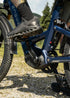 ENGWE E26 3.0 Pro | Bicicletta Elettrica | Motore Centrale 250W | Sensore di coppia | GARANZIA ITALIANA