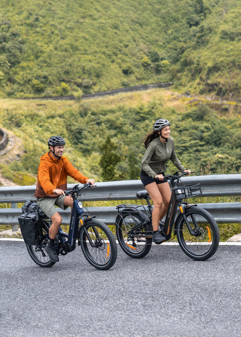 ENGWE E26 3.0 Pro | Bicicletta Elettrica | Motore Centrale 250W | Sensore di coppia | GARANZIA ITALIANA