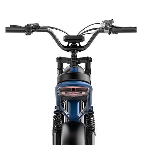 OVIVO GO LITE | Bicicletta Elettrica | Versatile | Motore BAFANG 250W | 48V 20Ah | Freni Idraulici | 25km/h | Autonomia 100-120Km | GARANZIA ITALIANA