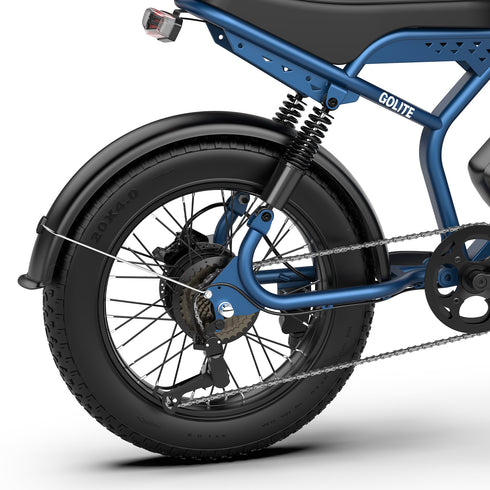 OVIVO GO LITE | Bicicletta Elettrica | Versatile | Motore BAFANG 250W | 48V 20Ah | Freni Idraulici | 25km/h | Autonomia 100-120Km | GARANZIA ITALIANA