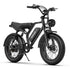 OVIVO GO LITE | Bicicletta Elettrica | Versatile | Motore BAFANG 250W | 48V 20Ah | Freni Idraulici | 25km/h | Autonomia 100-120Km | GARANZIA ITALIANA
