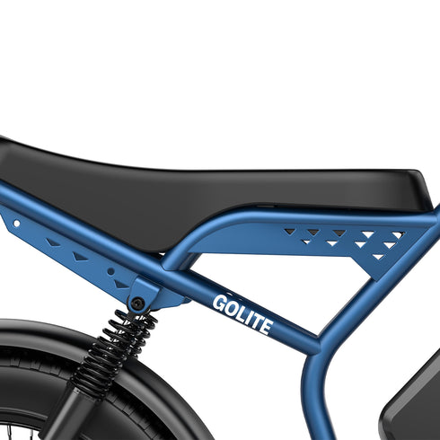 OVIVO GO LITE | Bicicletta Elettrica | Versatile | Motore BAFANG 250W | 48V 20Ah | Freni Idraulici | 25km/h | Autonomia 100-120Km | GARANZIA ITALIANA