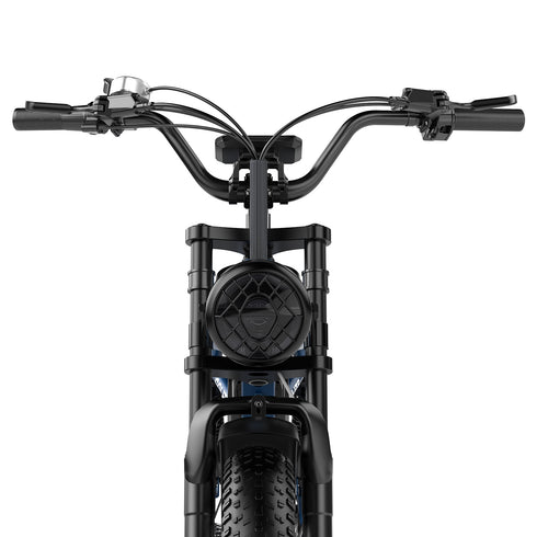 OVIVO GO LITE | Bicicletta Elettrica | Versatile | Motore BAFANG 250W | 48V 20Ah | Freni Idraulici | 25km/h | Autonomia 100-120Km | GARANZIA ITALIANA
