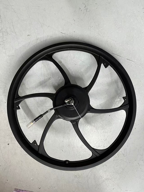 Cerchione Posteriore con Motore ruota Originale per ENGWE P1