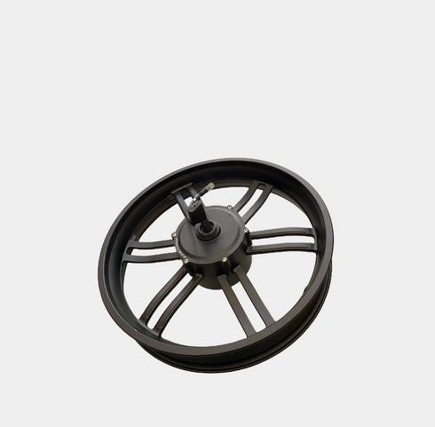 Cerchione Posteriore con Motore ruota Originale per ENGWE EP-2 Pro