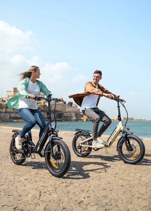 ENGWE L20 3.0 Boost | Bicicletta Elettrica | Motore 250W | Sensore di coppia | Certificata TÜV | GARANZIA ITALIANA e 100% A NORMA