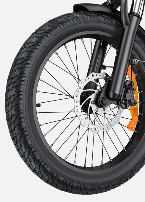 ENGWE L20 3.0 Boost | Bicicletta Elettrica | Motore 250W | Sensore di coppia | Certificata TÜV | GARANZIA ITALIANA e 100% A NORMA