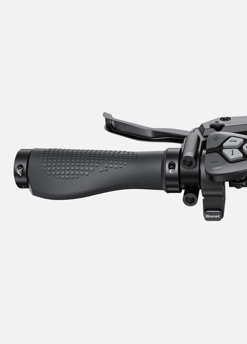 ENGWE L20 3.0 Boost | Bicicletta Elettrica | Motore 250W | Sensore di coppia | Certificata TÜV | GARANZIA ITALIANA e 100% A NORMA