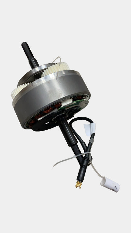 Motore Originale ENGWE L20