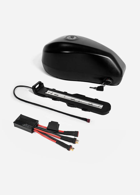 Batteria 48V 19.2Ah (con equalizzatore) SOLO per Engwe M20