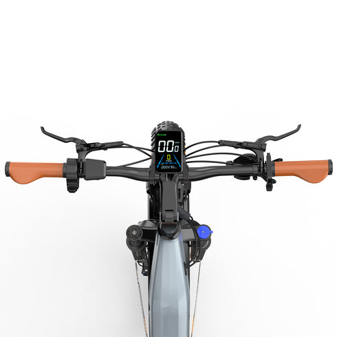 OVIVO HYPER V6 | Bicicletta Elettrica | Versatile | Motore BAFANG 250W | 48V 20Ah | Freni Idraulici | 25km/h | Autonomia 120-150Km| GARANZIA ITALIANA