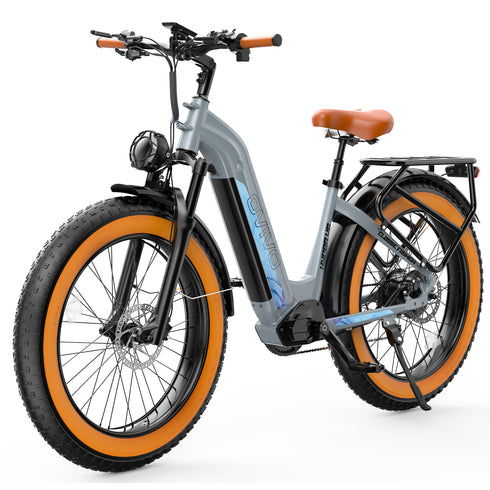 OVIVO HYPER V6 | Bicicletta Elettrica | Versatile | Motore BAFANG 250W | 48V 20Ah | Freni Idraulici | 25km/h | Autonomia 120-150Km| GARANZIA ITALIANA