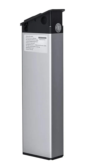 Batteria 48V 16Ah per Ep-2 Pro/EP-2 Pro EU/Engine Pro + carica batteria