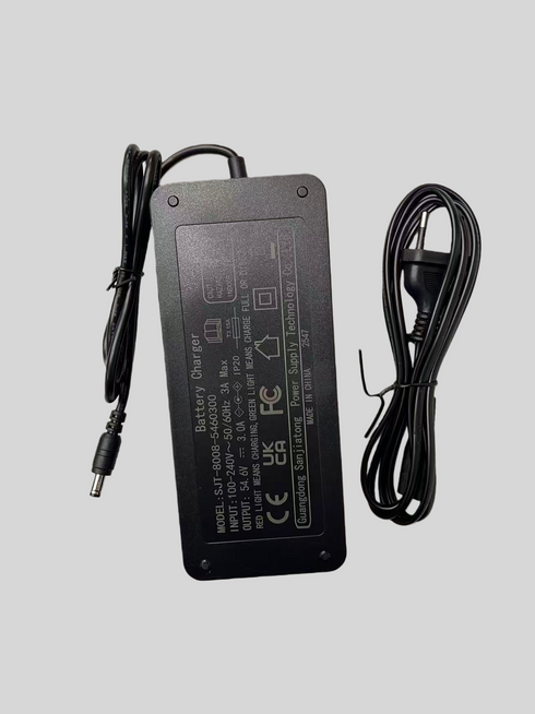 Carica batteria 54.6V 3A (connettore DC 5.5x2.1mm) compatibile per bicicletta elettrica ENGWE EP-2 Pro/EP-2 Pro EU/Engine Pro/Engine X/M20 - Compatibile con altri modelli