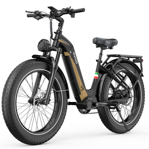 OVIVO V6 PRO | Bicicletta Elettrica Pieghevole | Versatile | Motore BAFANG 250W | 48V 20Ah | Freni Idraulici | 25km/h | Autonomia 120-150Km | GARANZIA ITALIANA