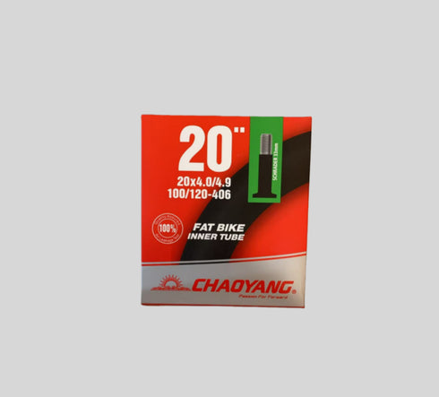 Camera d'aria CHAOYANG 20x4.0 pollici per FAT TIRE bici elettriche ENGWE EP-2 Pro/EP-2 Pro EU/Engine Pro/Engine Pro 2.0/FIIDO M1/M1 Pro/SHENGMILO