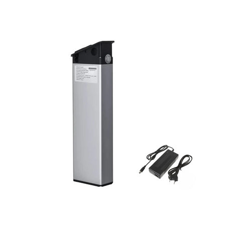 Batteria 48V 16Ah per Ep-2 Pro/EP-2 Pro EU/Engine Pro + carica batteria