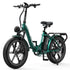 OVIVO C2 PRO | Bicicletta Elettrica Pieghevole | Versatile | Motore BAFANG 250W | 48V 18Ah | Freni Idraulici | 25km/h | Autonomia 90-120Km | GARANZIA ITALIANA
