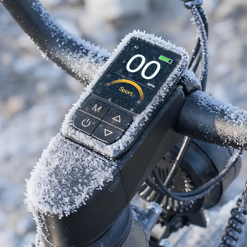 FIIDO Titan | Bicicletta elettrica | Sensore di Coppia | Motore 250W 55Nm | Autonomia 115km | GARANZIA ITALIANA