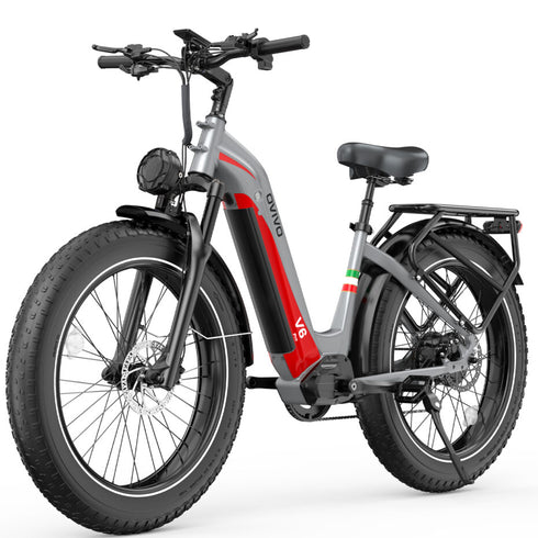 OVIVO V6 PRO | Bicicletta Elettrica Pieghevole | Versatile | Motore BAFANG 250W | 48V 20Ah | Freni Idraulici | 25km/h | Autonomia 120-150Km | GARANZIA ITALIANA