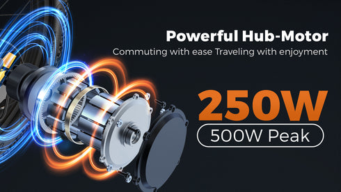 ENGWE T14 | Bicicletta elettrica | Ruote 14" | Motore 250W | 48V 10Ah | 25km/h | Autonomia 80km | GARANZIA ITALIANA