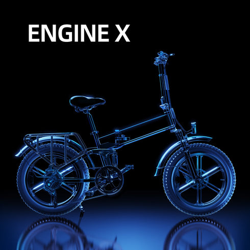 ENGWE ENGINE X | Bicicletta elettrica | Motore 250W | 48V 13AH | Autonomia 90km | GARANZIA ITALIANA