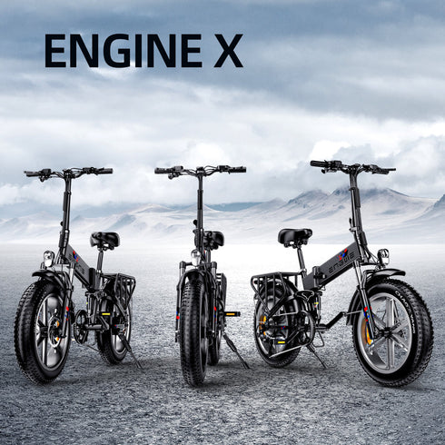 ENGWE ENGINE X | Bicicletta elettrica | Motore 250W | 48V 13AH | Autonomia 90km | GARANZIA ITALIANA
