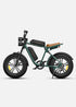 ENGWE M20 | Bicicletta Elettrica | Versatile | 48V 13Ah/26Ah | Autonomia 75Km+75Km| GARANZIA ITALIANA