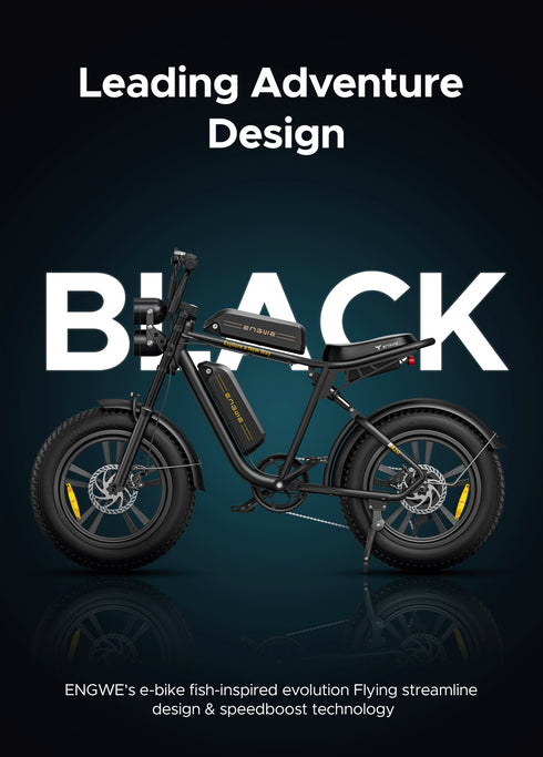ENGWE M20 | Bicicletta Elettrica | Versatile | 48V 13Ah/26Ah | Autonomia 75Km+75Km| GARANZIA ITALIANA