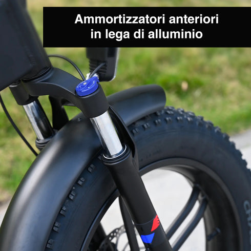 ENGWE ENGINE X | Bicicletta elettrica | Motore 250W | 48V 13AH | Autonomia 90km | GARANZIA ITALIANA