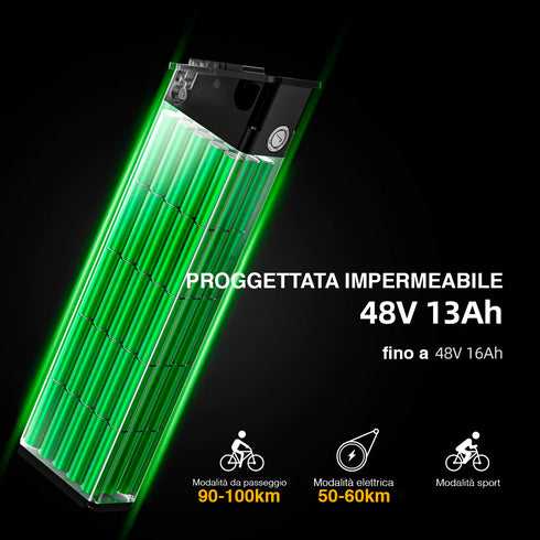 ENGWE ENGINE X | Bicicletta elettrica | Motore 250W | 48V 13AH | Autonomia 90km | GARANZIA ITALIANA