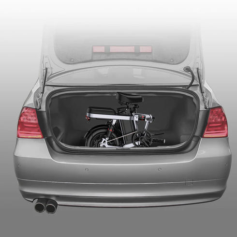 ENGWE T14 | Bicicletta elettrica | Ruote 14" | Motore 250W | 48V 10Ah | 25km/h | Autonomia 80km | GARANZIA ITALIANA