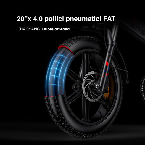 ENGWE ENGINE X | Bicicletta elettrica | Motore 250W | 48V 13AH | Autonomia 90km | GARANZIA ITALIANA