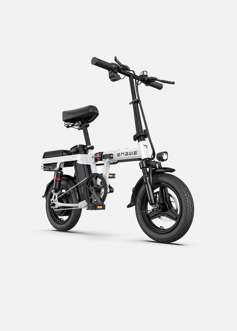 ENGWE T14 | Bicicletta elettrica | Ruote 14" | Motore 250W | 48V 10Ah | 25km/h | Autonomia 80km | GARANZIA ITALIANA
