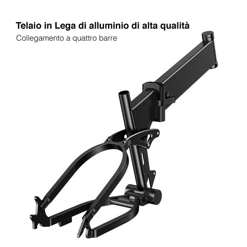 ENGWE ENGINE X | Bicicletta elettrica | Motore 250W | 48V 13AH | Autonomia 90km | GARANZIA ITALIANA