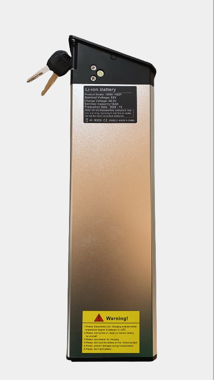 Batteria Fiido D2s Prezzo Batterie Bici Elettriche – BicieMonopattini